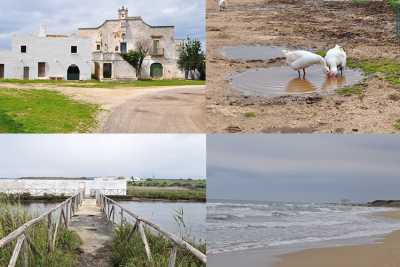 Dolmen, masserie, torrenti e spiagge: a fianco alla statale c'� il Parco dune costiere